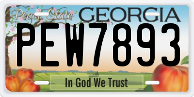 GA license plate PEW7893