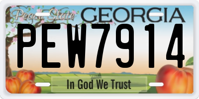 GA license plate PEW7914