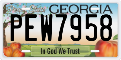 GA license plate PEW7958