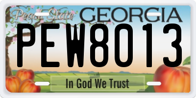 GA license plate PEW8013