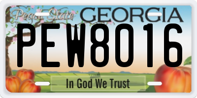 GA license plate PEW8016