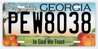 GA license plate PEW8038