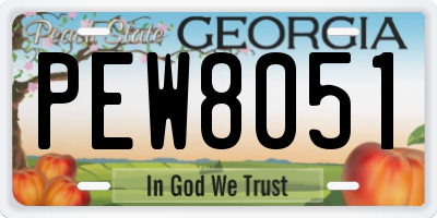 GA license plate PEW8051