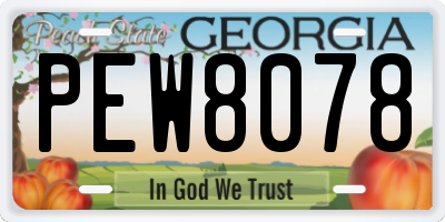 GA license plate PEW8078