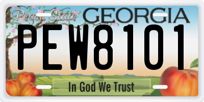 GA license plate PEW8101