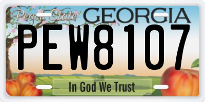 GA license plate PEW8107