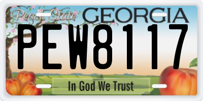 GA license plate PEW8117
