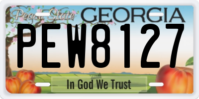 GA license plate PEW8127
