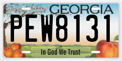 GA license plate PEW8131