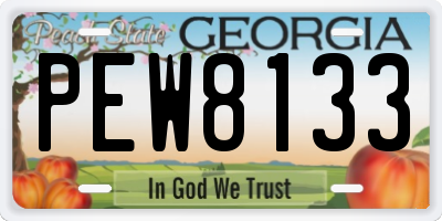 GA license plate PEW8133