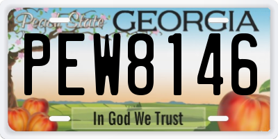 GA license plate PEW8146