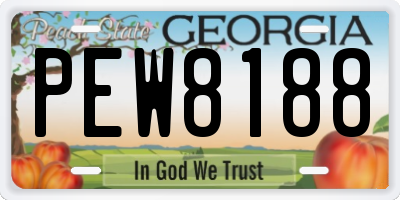 GA license plate PEW8188