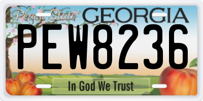 GA license plate PEW8236