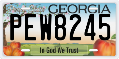 GA license plate PEW8245