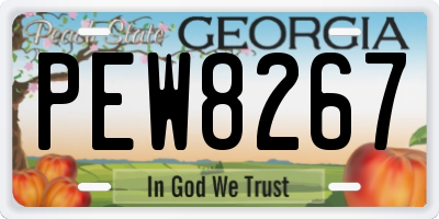 GA license plate PEW8267