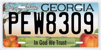 GA license plate PEW8309