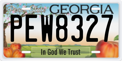 GA license plate PEW8327