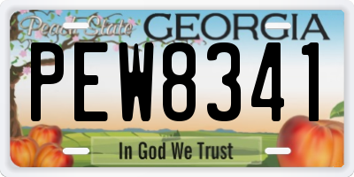 GA license plate PEW8341