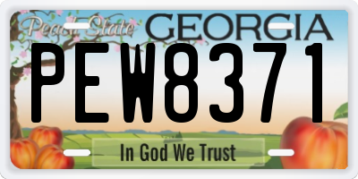 GA license plate PEW8371