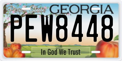 GA license plate PEW8448