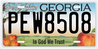 GA license plate PEW8508