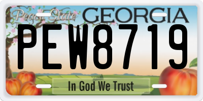 GA license plate PEW8719