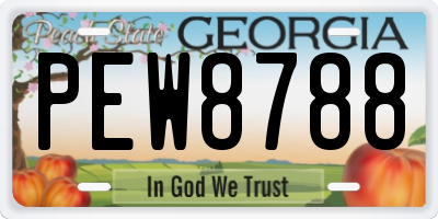 GA license plate PEW8788
