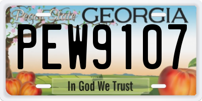 GA license plate PEW9107