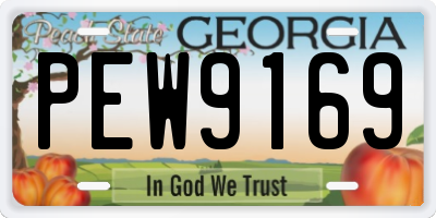 GA license plate PEW9169