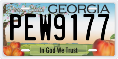 GA license plate PEW9177