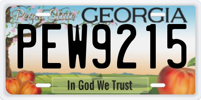 GA license plate PEW9215