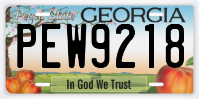 GA license plate PEW9218