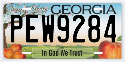 GA license plate PEW9284