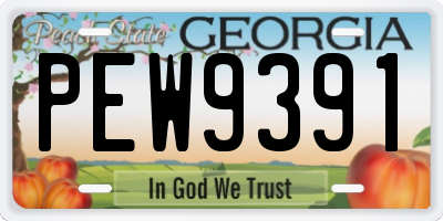 GA license plate PEW9391