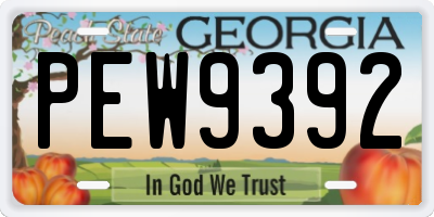 GA license plate PEW9392