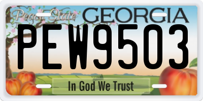 GA license plate PEW9503