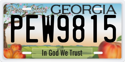GA license plate PEW9815