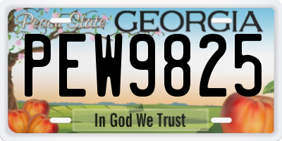 GA license plate PEW9825