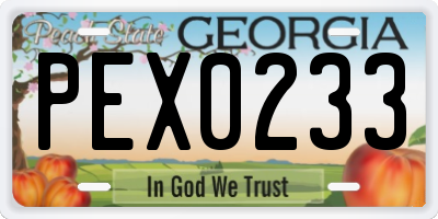 GA license plate PEX0233