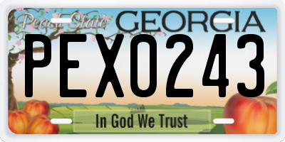 GA license plate PEX0243