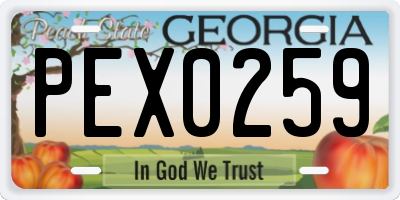 GA license plate PEX0259