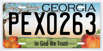 GA license plate PEX0263