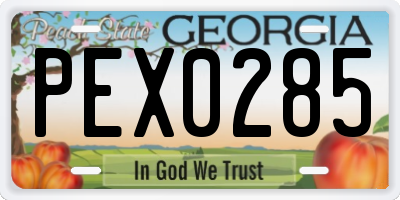 GA license plate PEX0285