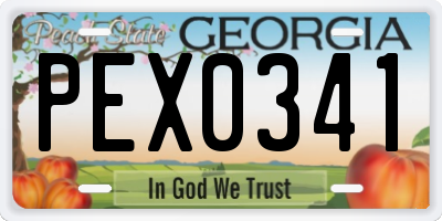 GA license plate PEX0341