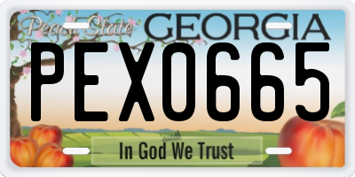GA license plate PEX0665