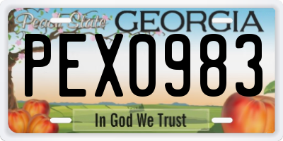 GA license plate PEX0983