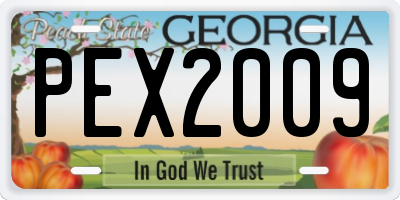 GA license plate PEX2009