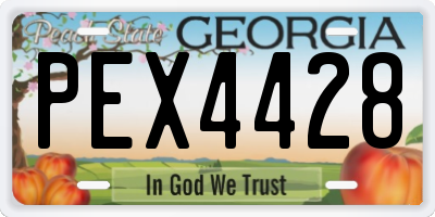 GA license plate PEX4428