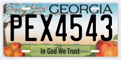 GA license plate PEX4543