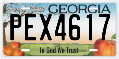 GA license plate PEX4617